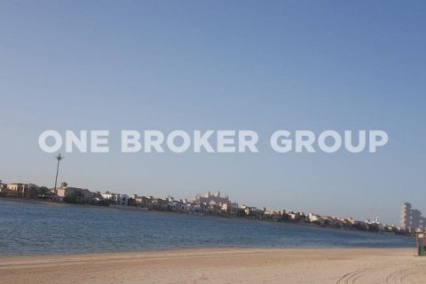 Terrain à Palm Jumeirah, Dubai, 543.5 m², № 206 - photo 8