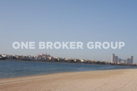 Terrain à Palm Jumeirah, Dubai, 543.5 m², № 206 - photo 9