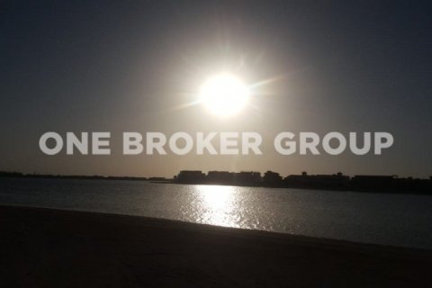 Terrain à Palm Jumeirah, Dubai, 543.5 m², № 206 - photo 10