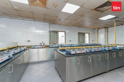 Купить здание в Дубае: 6858м², № 12323 - фото 14