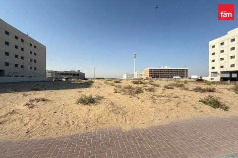 قطعة أرض في دبي 1550.4 م² رقم 12333 - صورة 10