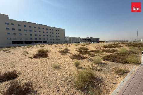 قطعة أرض في دبي 1550.4 م² رقم 12333 - صورة 11