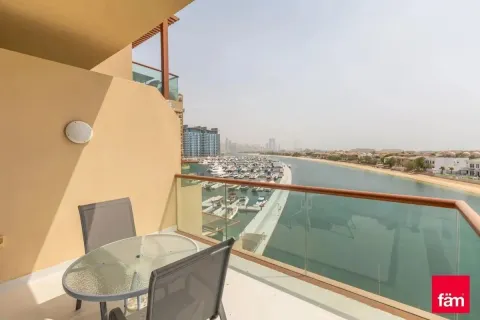 شقة في نخلة جميرا, دبي 51 م² رقم 47238 - صورة 1