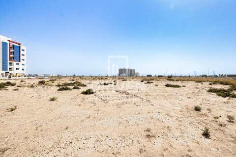 Land in Dubai 4188 sq.m. № 20117 - photo 4