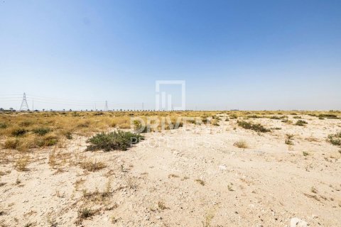 Land in Dubai 4188 sq.m. № 20117 - photo 9