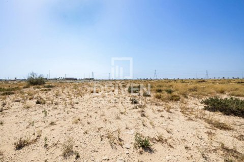 Land in Dubai 4188 sq.m. № 20117 - photo 8