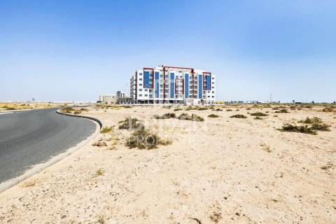 Land in Dubai 4188 sq.m. № 20117 - photo 1