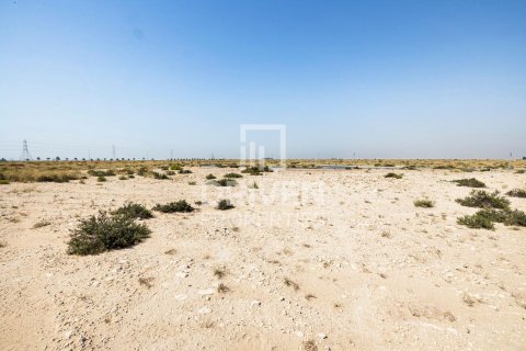 Land in Dubai 4188 sq.m. № 20117 - photo 10