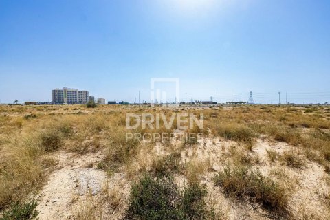 Land in Dubai 4188 sq.m. № 20117 - photo 5
