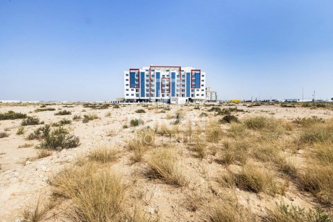 Land in Dubai 4188 sq.m. № 20117 - photo 3