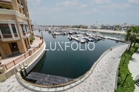 Apartment in Palm Views, Palm Jumeirah, Dubai studio, 51 sq.m. № 46097 - photo 4