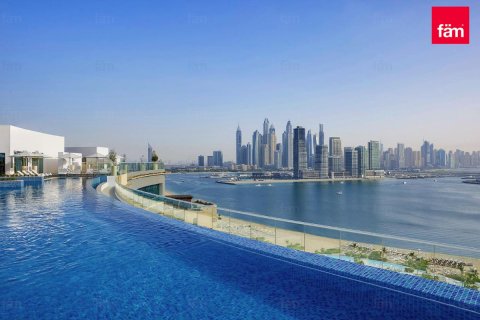 شقة في نخلة جميرا, دبي 46 م² رقم 22715 - صورة 7