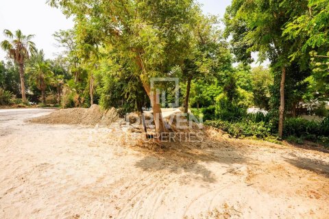 Land in Al Barari, Dubai 742 sq.m. № 65670 - photo 11