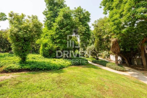 Land in Al Barari, Dubai 742 sq.m. № 65670 - photo 5