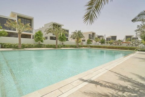 Aster - صورة 1