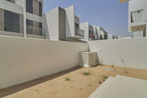 Aster - صورة 5