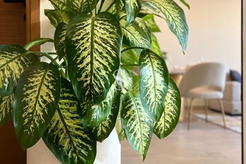 Apartamento en Arjan, Dubai, 1 dormitorio, 72 m², № 99266 - foto 4