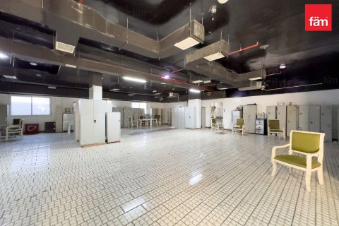 Labor Camp in Dubai 5459.7 sq.m. № 77057 - photo 3