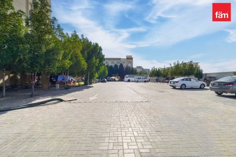 Labor Camp in Dubai 5459.7 sq.m. № 77057 - photo 22