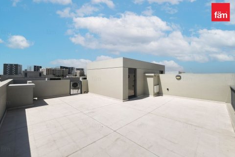 Villa in Dubai 4 bedrooms, 252 sq.m. № 50638 - photo 22