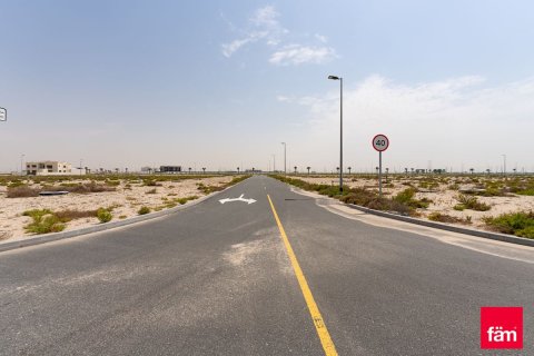 قطعة أرض في جبل علي, دبي 915 م² رقم 10245 - صورة 4