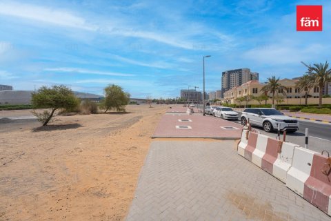 Terreno en Wadi Al Safa 2, Dubai, 487.2 m², № 22116 - foto 3