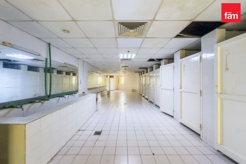 Camp de travail à Dubai, 3290.7 m², № 67392 - photo 12