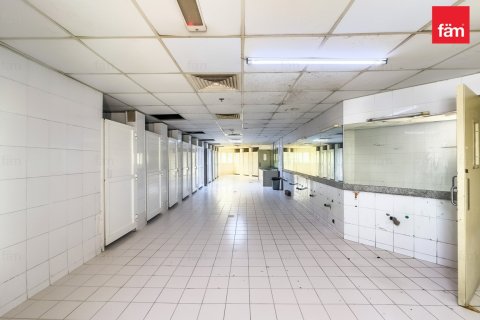 Camp de travail à Dubai, 3290.7 m², № 67392 - photo 6