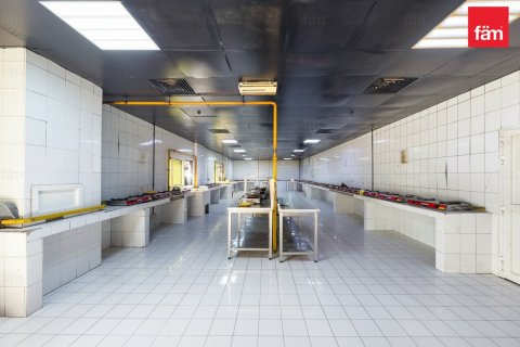 Camp de travail à Dubai, 3290.7 m², № 67392 - photo 11