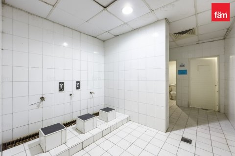 Camp de travail à Dubai, 3290.7 m², № 67392 - photo 7