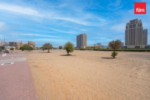 Land in Wadi Al Safa 2, Dubai 495.1 sq.m. № 22700 - photo 6