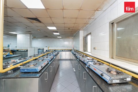 Labor Camp in Dubai 6856.2 sq.m. № 40259 - photo 14