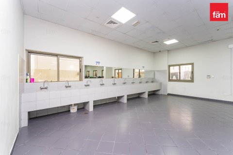 Labor Camp in Dubai 6856.2 sq.m. № 40259 - photo 9