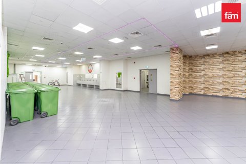 Labor Camp in Dubai 6856.2 sq.m. № 40259 - photo 5