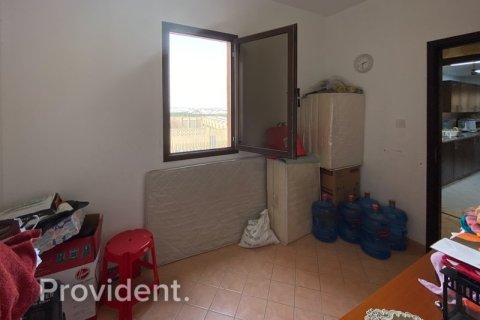 Apartment in Dubai Festival City, Dubai 2 bedrooms № 3048 - photo 19