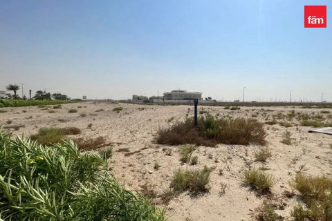 Land in Jebel Ali, Dubai 870 sq.m. № 40220 - photo 4