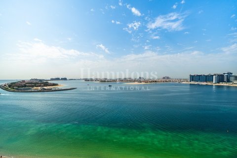 شقة في Dubai Harbour, دبي 2 غرف نوم, 131.92226000 م² رقم 12692 - صورة 9