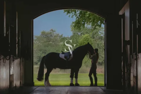 Villa in Dubai Investment Park, Dubai 4 bedrooms, 300 sq.m. № 68314 - photo 11