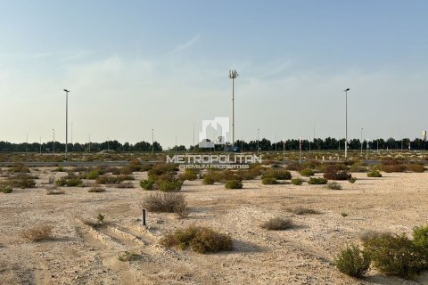 Land in Jebel Ali, Dubai 977 sq.m. № 15857 - photo 12