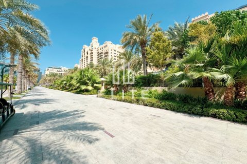 Appartement à The Fairmont Palm Residences, Palm Jumeirah, Dubai, studio, 126 m², № 38669 - photo 23