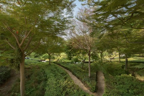 Villa in Jumeirah Golf Estates, Dubai 6 bedrooms, 516.08 sq.m. № 141148 - photo 16