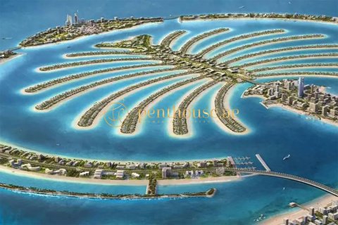 Land in Palm Jebel Ali, Dubai 2510 sq.m. № 15731 - photo 5