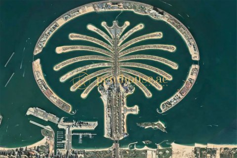 Land in Palm Jebel Ali, Dubai 2510 sq.m. № 15731 - photo 3