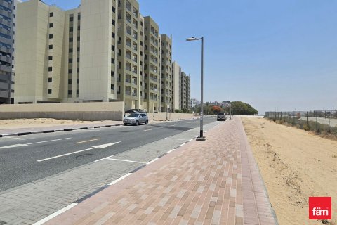 Land in Dubai 2880 sq.m. № 112418 - photo 4