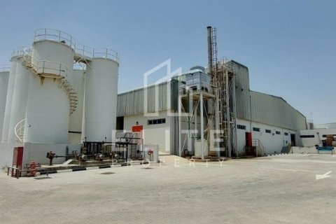 Usine à Dubai, 8406 m², № 42263 - photo 25