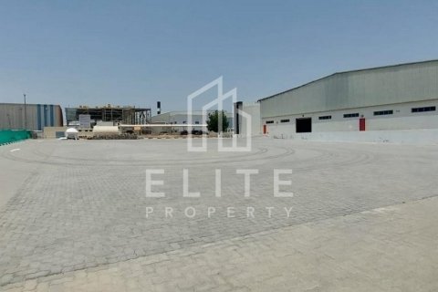 Usine à Dubai, 8406 m², № 42263 - photo 22