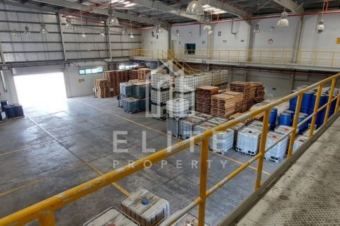 Usine à Dubai, 8406 m², № 42263 - photo 11