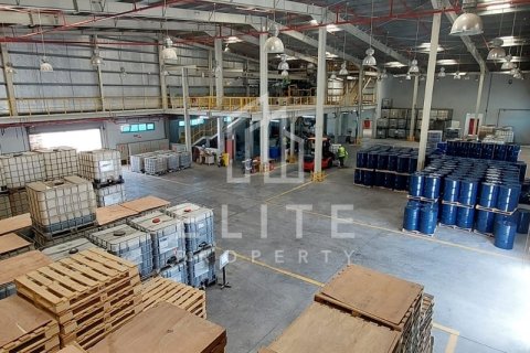 Usine à Dubai, 8406 m², № 42263 - photo 29