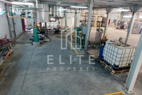 Usine à Dubai, 8406 m², № 42263 - photo 28