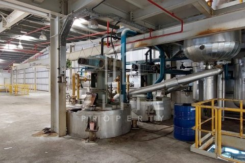 Usine à Dubai, 8406 m², № 42263 - photo 13